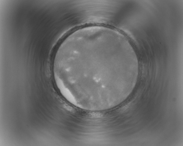 X0000068840878200605191923