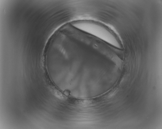 X0000068840879200605191923