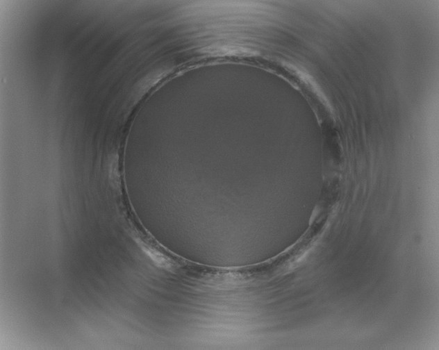 X0000068840881200605191923