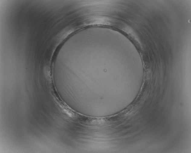 X0000068840882200605191923