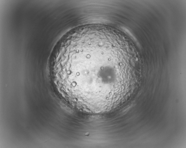 X0000068840883200605191923