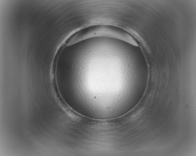 X0000068840885200605191923