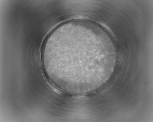 X0000068840886200605191923