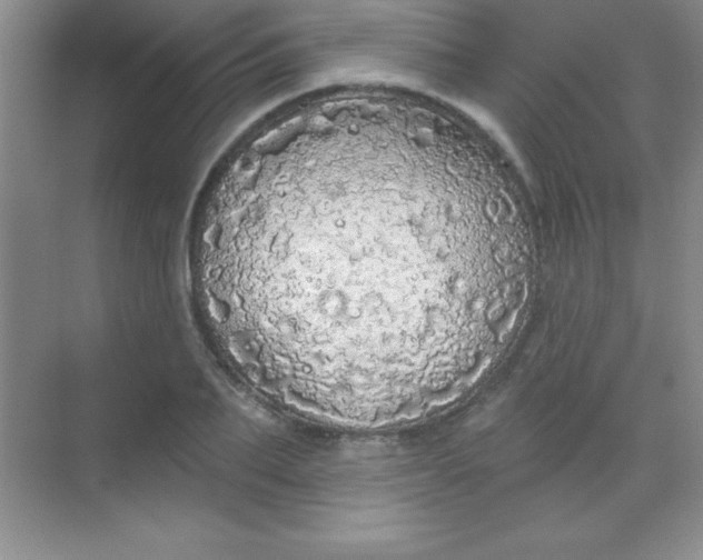 X0000068840887200605191923