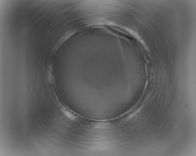 X0000068840889200605191922