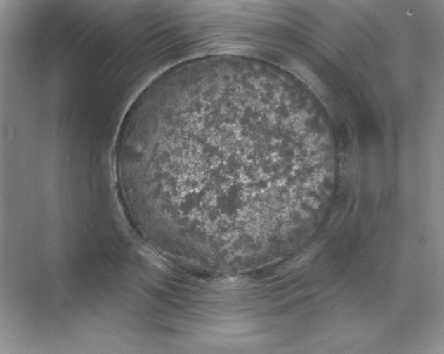 X0000068840891200605191922