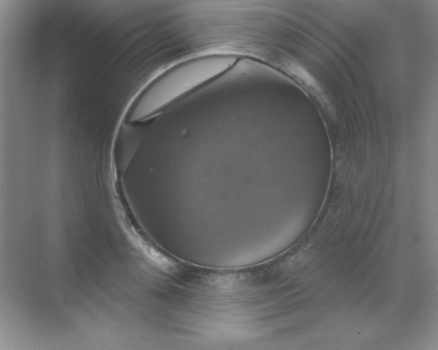 X0000068840892200605191922