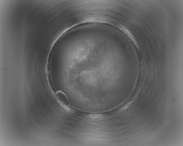 X0000068840893200605191922