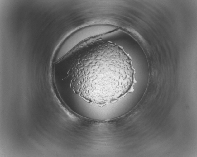 X0000068840894200605191922