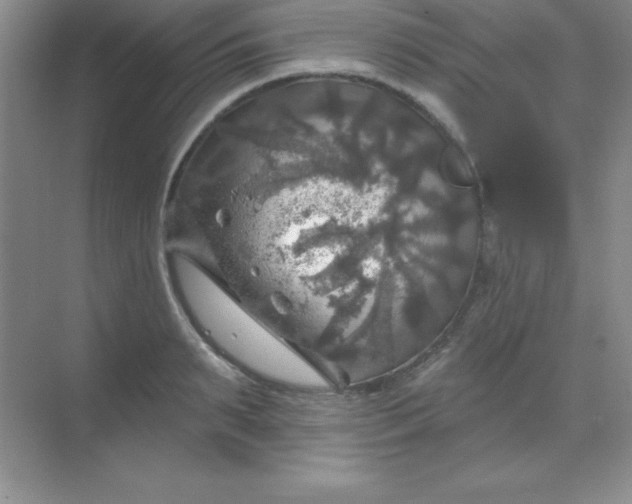 X0000068840895200605191922