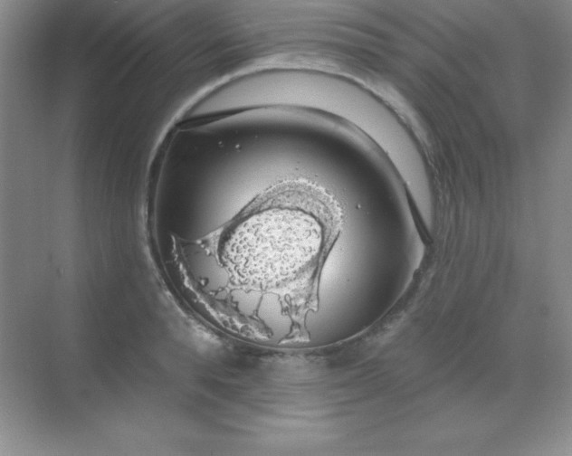 X0000068840896200605191922