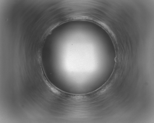 X0000068840897200605191922