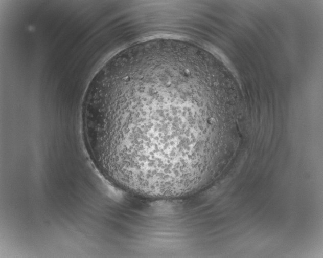 X0000068840898200605191922