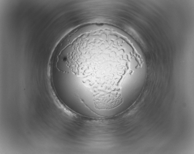 X0000068840900200605191922