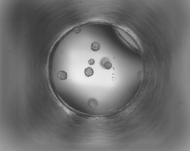 X0000068840902200605191922