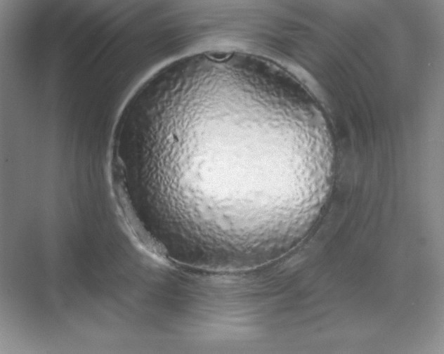 X0000068840904200605191922