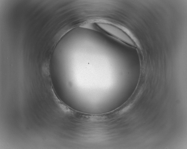 X0000068840905200605191922