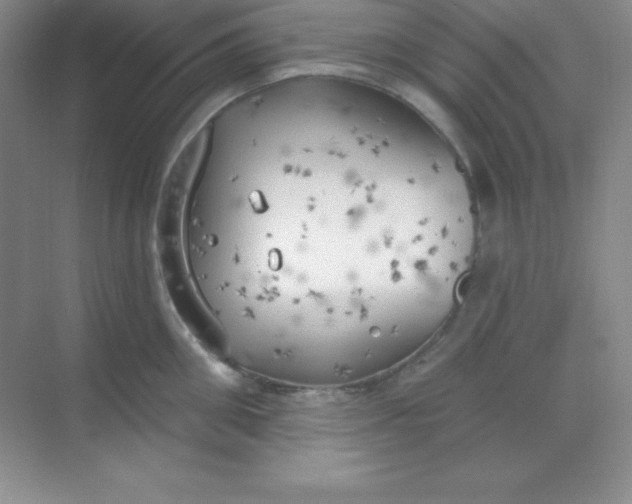 X0000068840906200605191922