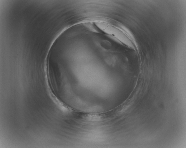 X0000068840907200605191922