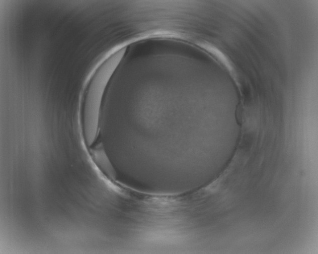 X0000068840910200605191922