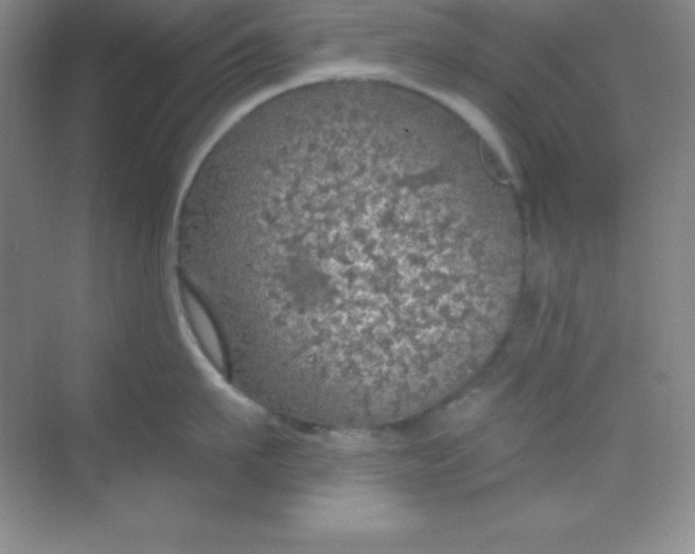 X0000068840911200605191922