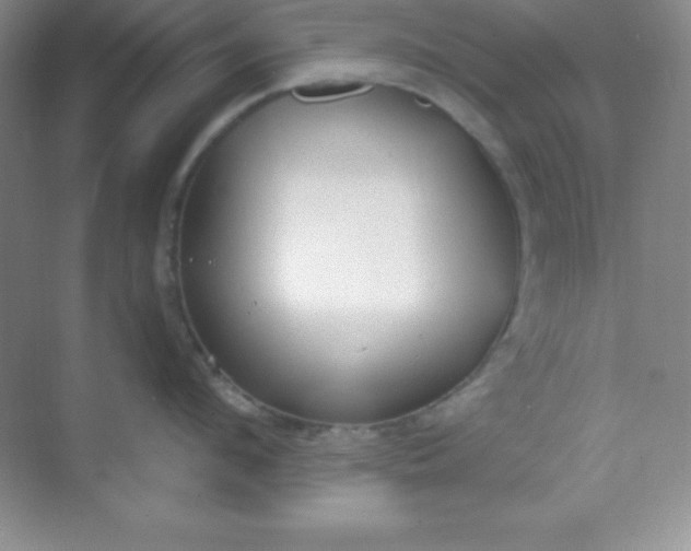 X0000068840912200605191922