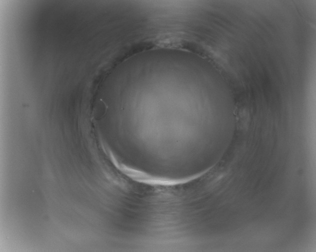 X0000068840913200605191921