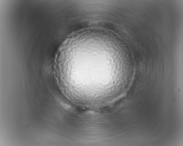 X0000068840914200605191921