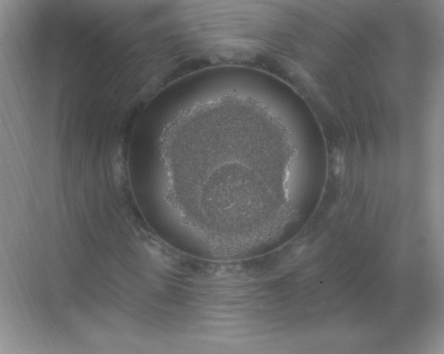 X0000068840915200605191921