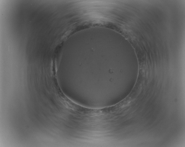 X0000068840916200605191921