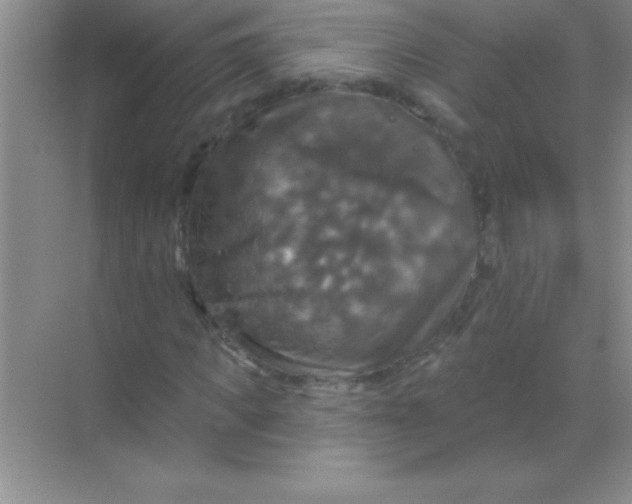 X0000068840917200605191921