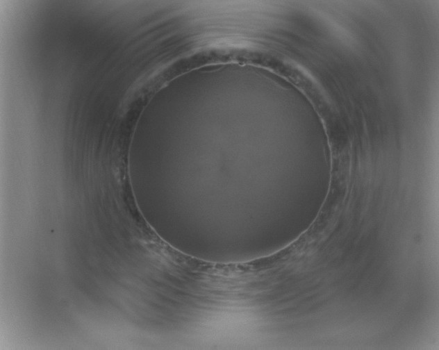 X0000068840919200605191921