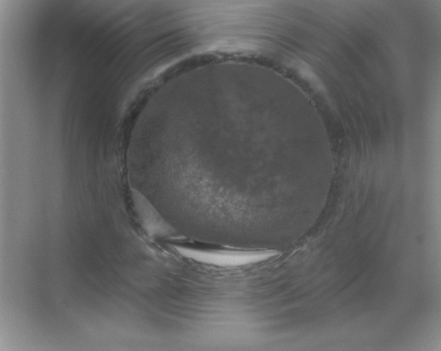 X0000068840920200605191921