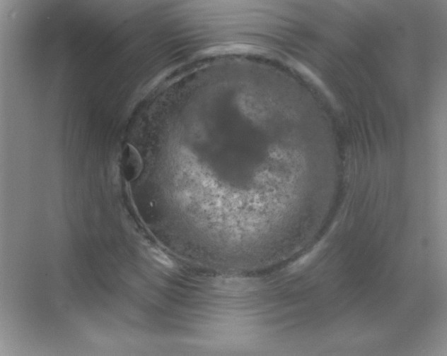 X0000068840921200605191921