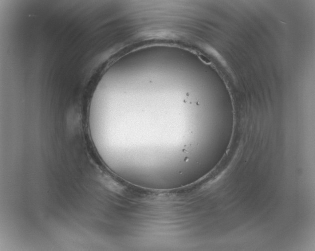 X0000068840922200605191921