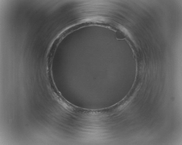 X0000068840923200605191921