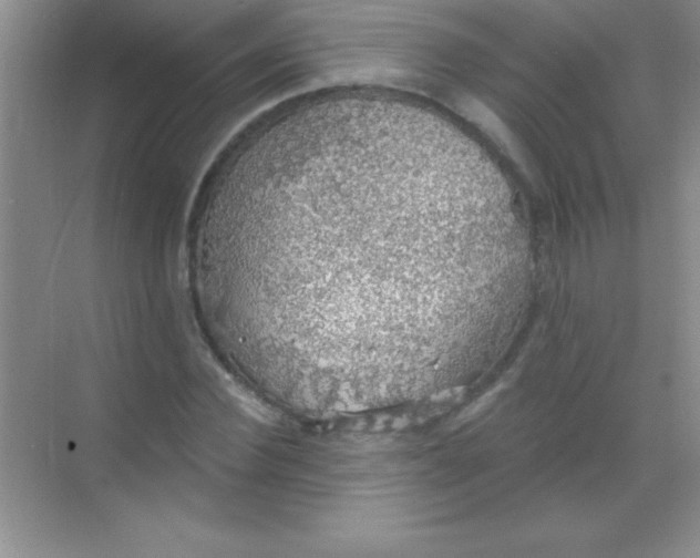 X0000068840924200605191921