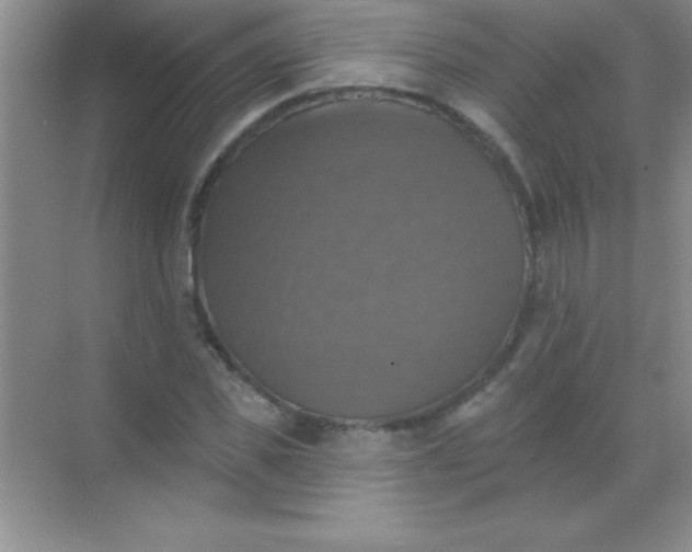 X0000068840925200605191921