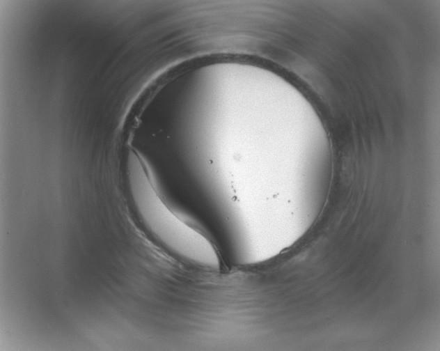 X0000068840926200605191921