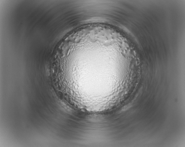 X0000068840929200605191922