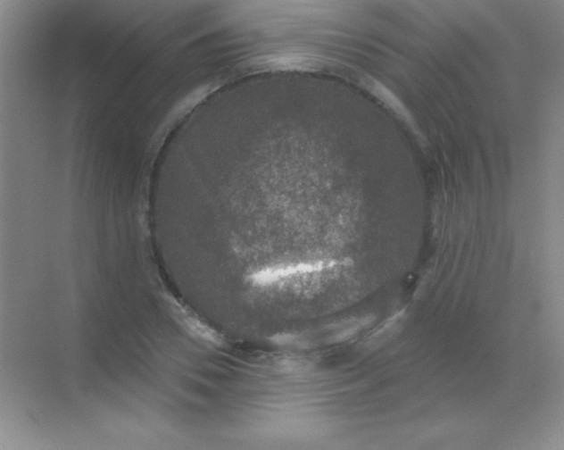 X0000068840930200605191922