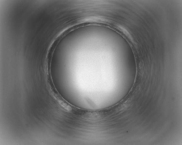 X0000068840931200605191922