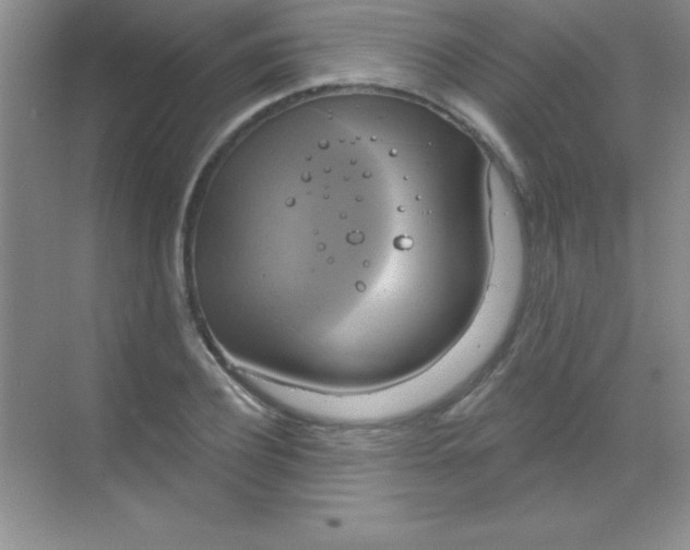 X0000068840932200605191922