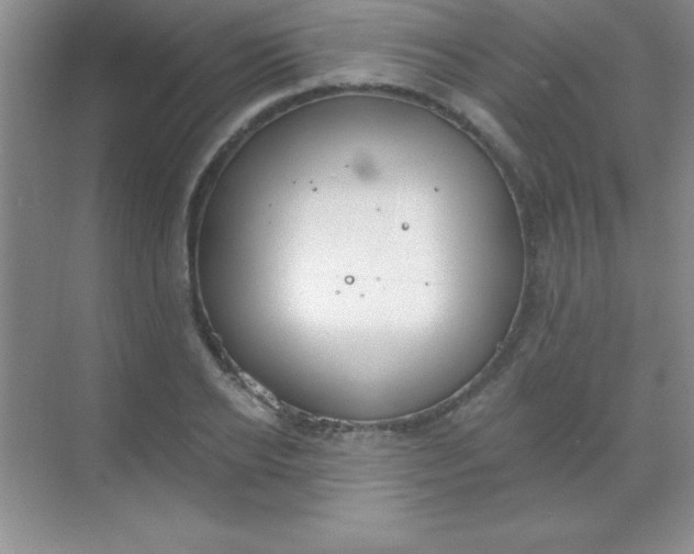 X0000068840934200605191922