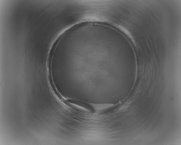 X0000068840935200605191922