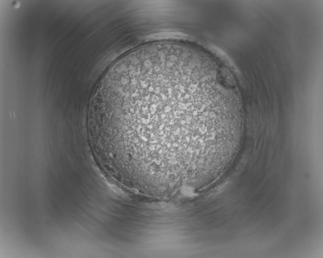 X0000068840937200605191922