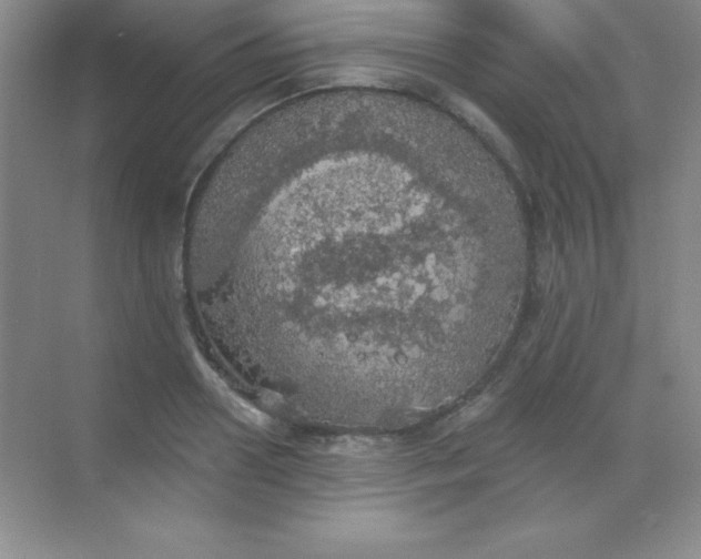 X0000068840938200605191922