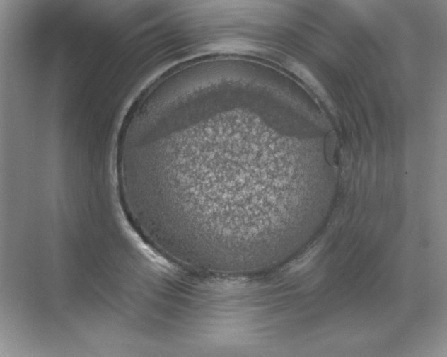 X0000068840939200605191922