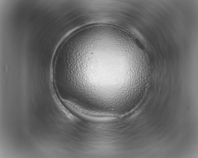 X0000068840940200605191922