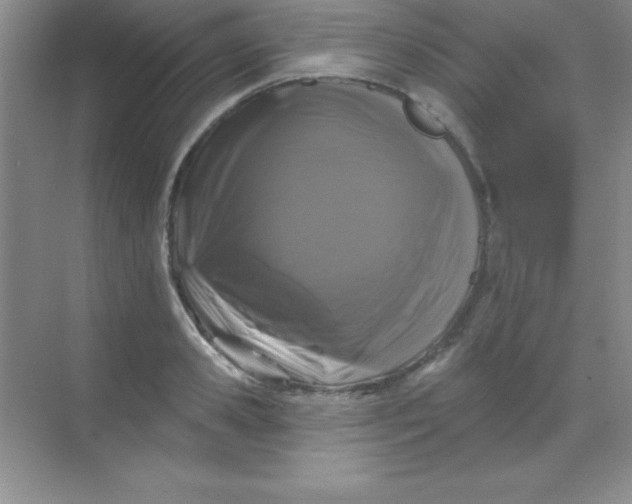 X0000068840941200605191922